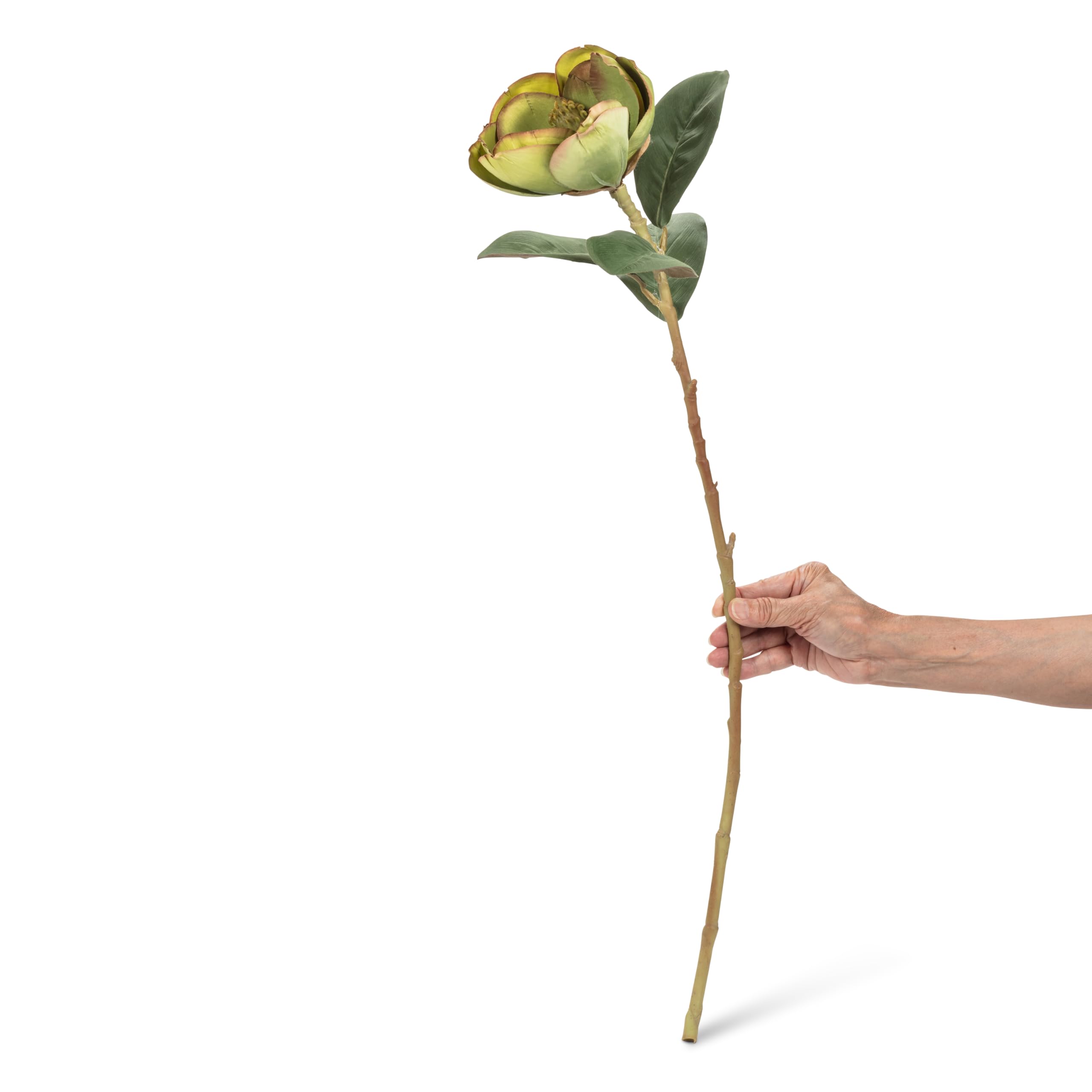 Abbott Collection Medium Magnolia Bloom, Artificial Flower - Polyester/Plastic, Green (29" L) - Image 3