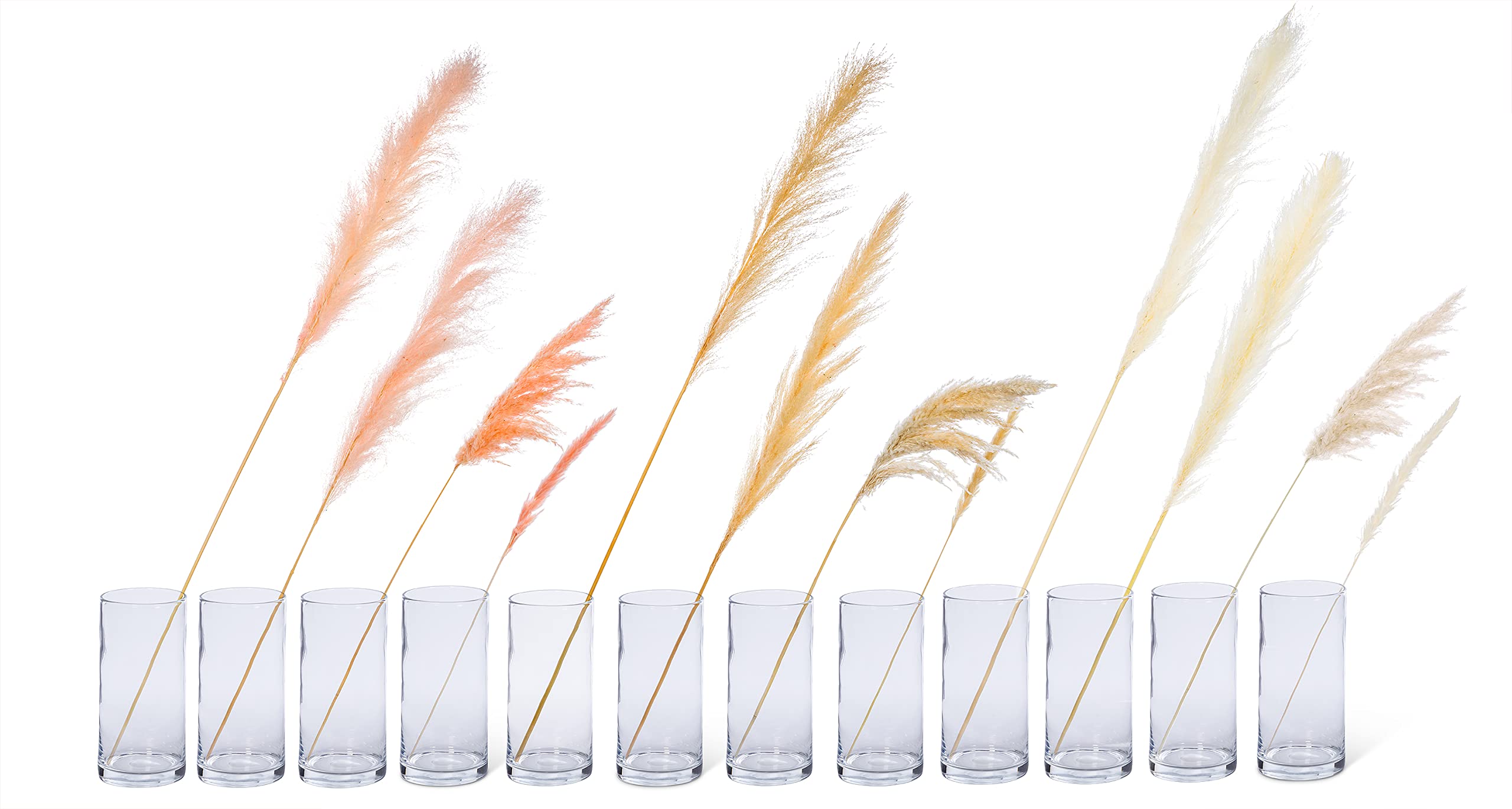 Abbott Collection Medium Pampas Grass-36-40 H - Image 3